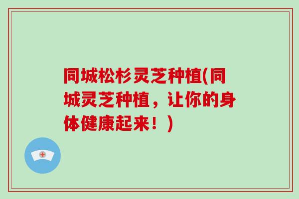同城松杉灵芝种植(同城灵芝种植，让你的身体健康起来！)