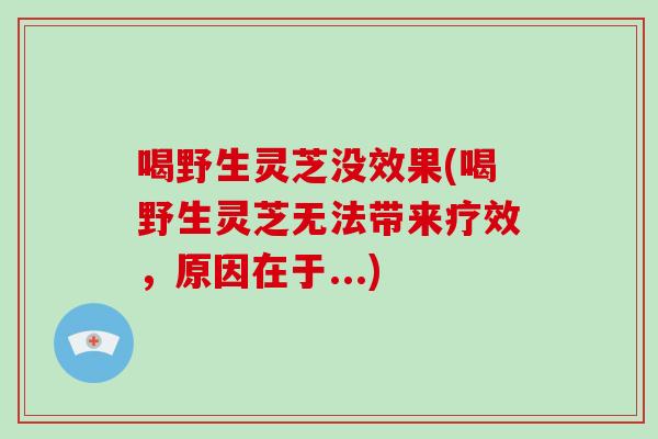 喝野生灵芝没效果(喝野生灵芝无法带来疗效,原因在于...) 喝野生灵芝没效果(喝野生灵芝无法带来疗效,原因在于...)