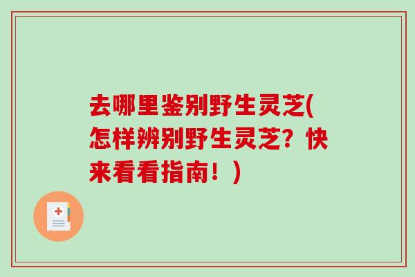 去哪里鉴别野生灵芝(怎样辨别野生灵芝？快来看看指南！)