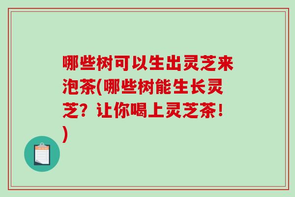 哪些树可以生出灵芝来泡茶(哪些树能生长灵芝？让你喝上灵芝茶！)