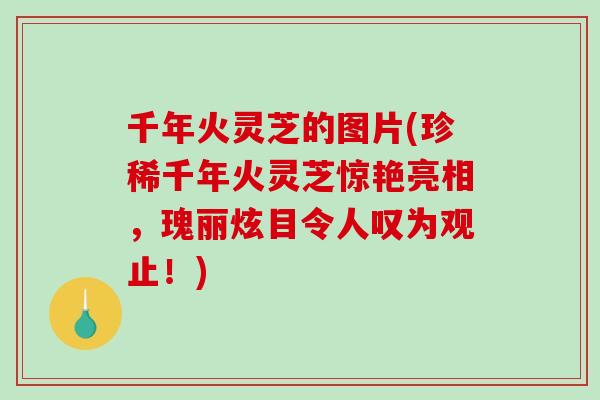 千年火灵芝的图片(珍稀千年火灵芝惊艳亮相，瑰丽炫目令人叹为观止！)