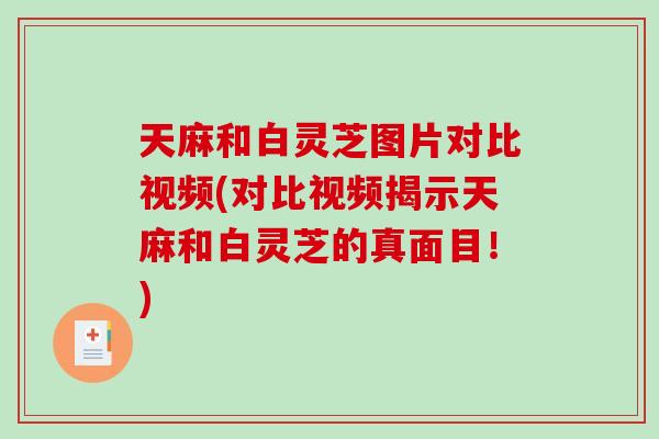 天麻和白灵芝图片对比视频(对比视频揭示天麻和白灵芝的真面目!) 天麻和白灵芝图片对比视频(对比视频揭示天麻和白灵芝的真面目!)