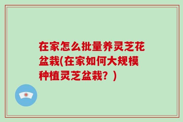 在家怎么批量养灵芝花盆栽(在家如何大规模种植灵芝盆栽？)