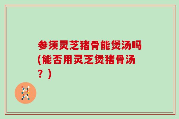参须灵芝猪骨能煲汤吗(能否用灵芝煲猪骨汤？)