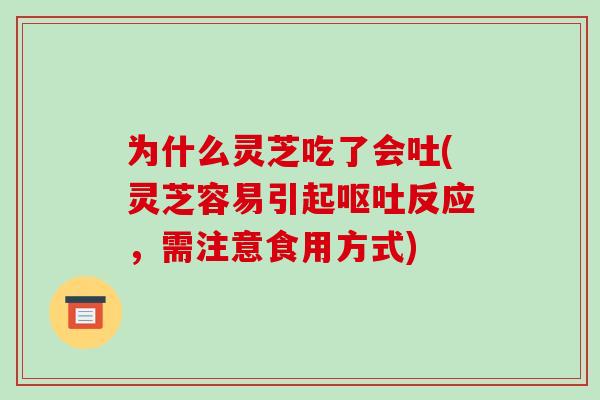 为什么灵芝吃了会吐(灵芝容易引起反应，需注意食用方式)
