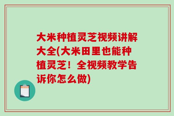 大米种植灵芝视频讲解大全(大米田里也能种植灵芝！全视频教学告诉你怎么做)