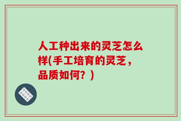 人工种出来的灵芝怎么样(手工培育的灵芝，品质如何？)