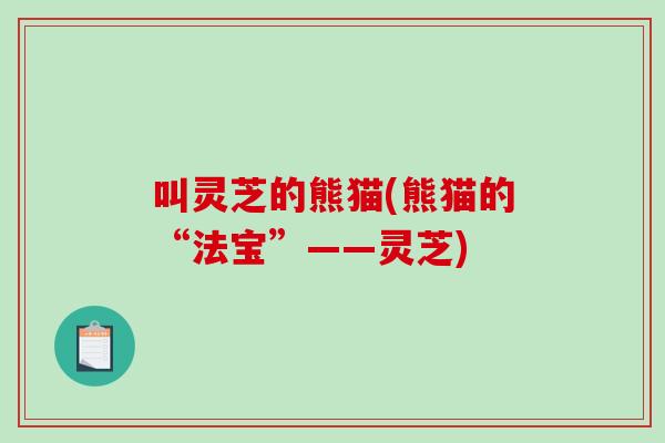 叫灵芝的熊猫(熊猫的“法宝”——灵芝) 叫灵芝的熊猫(熊猫的“法宝”——灵芝)