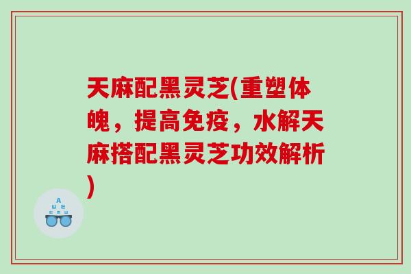 天麻配黑灵芝(重塑体魄，提高免疫，水解天麻搭配黑灵芝功效解析)