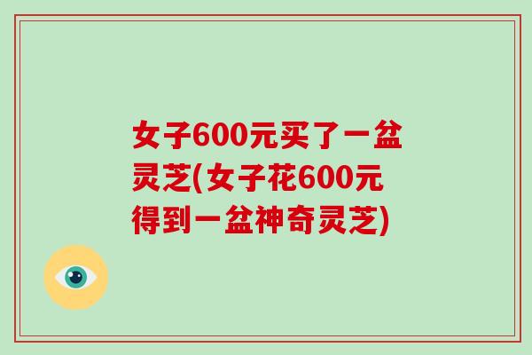 女子600元买了一盆灵芝(女子花600元得到一盆神奇灵芝) 女子600元买了一盆灵芝(女子花600元得到一盆神奇灵芝)