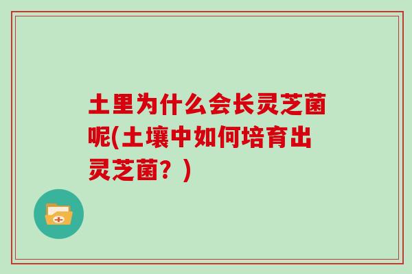土里为什么会长灵芝菌呢(土壤中如何培育出灵芝菌?) 土里为什么会长灵芝菌呢(土壤中如何培育出灵芝菌?)
