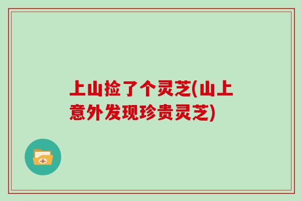 上山捡了个灵芝(山上意外发现珍贵灵芝)