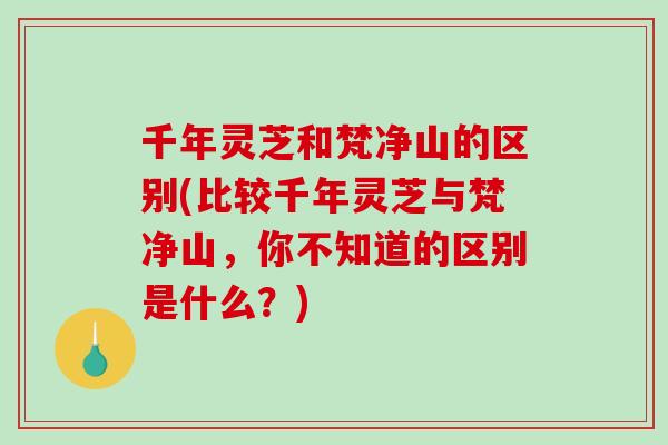 千年灵芝和梵净山的区别(比较千年灵芝与梵净山,你不知道的区别是什么?) 千年灵芝和梵净山的区别(比较千年灵芝与梵净山,你不知道的区别是什么?)