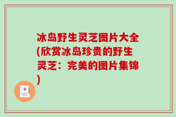 冰岛野生灵芝图片大全(欣赏冰岛珍贵的野生灵芝：完美的图片集锦)