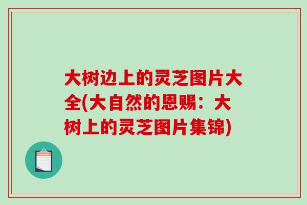 大树边上的灵芝图片大全(大自然的恩赐:大树上的灵芝图片集锦) 大树边上的灵芝图片大全(大自然的恩赐:大树上的灵芝图片集锦)
