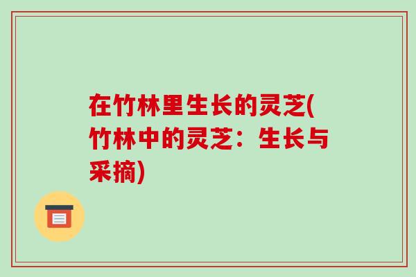 在竹林里生长的灵芝(竹林中的灵芝：生长与采摘)