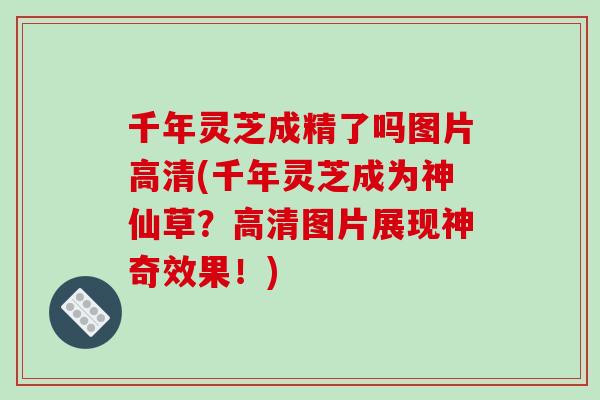 千年灵芝成精了吗图片高清(千年灵芝成为神仙草?高清图片展现神奇效果!) 千年灵芝成精了吗图片高清(千年灵芝成为神仙草?高清图片展现神奇效果!)