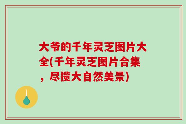 大爷的千年灵芝图片大全(千年灵芝图片合集，尽揽大自然美景)