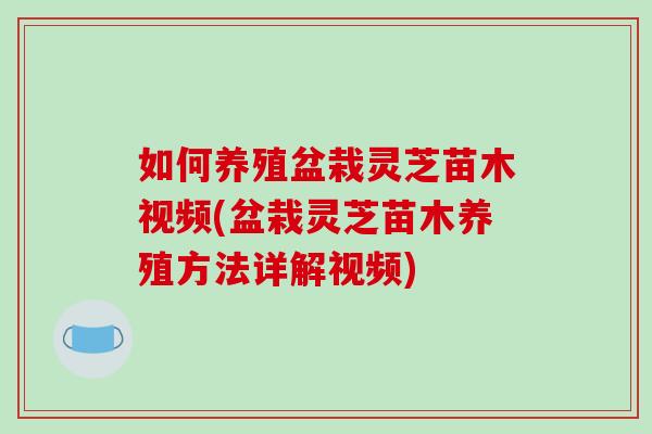 如何养殖盆栽灵芝苗木视频(盆栽灵芝苗木养殖方法详解视频)