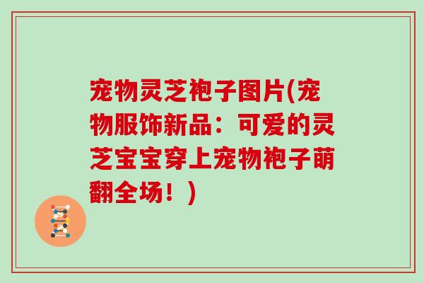 宠物灵芝袍子图片(宠物服饰新品:可爱的灵芝宝宝穿上宠物袍子萌翻全场!) 宠物灵芝袍子图片(宠物服饰新品:可爱的灵芝宝宝穿上宠物袍子萌翻全场!)