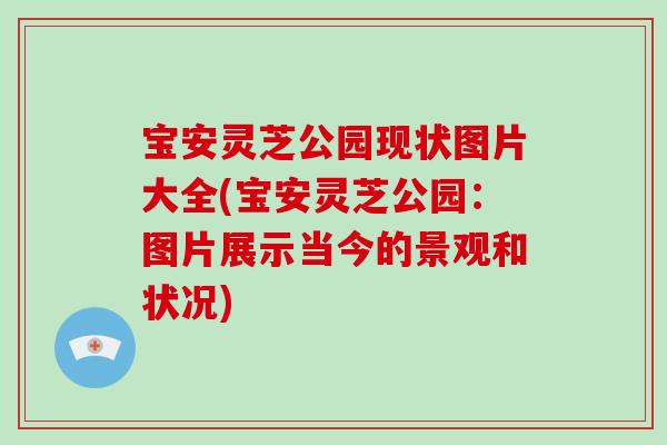 宝安灵芝公园现状图片大全(宝安灵芝公园：图片展示当今的景观和状况)