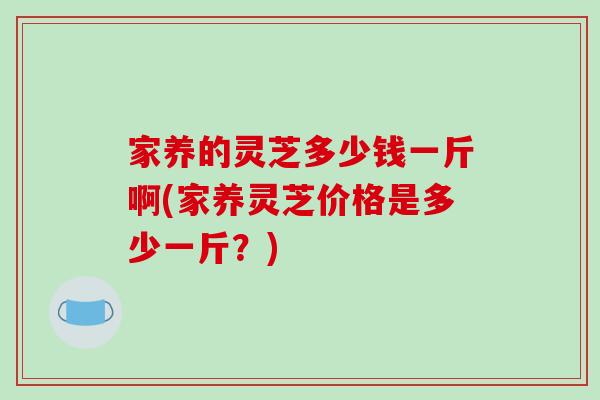 家养的灵芝多少钱一斤啊(家养灵芝价格是多少一斤？)