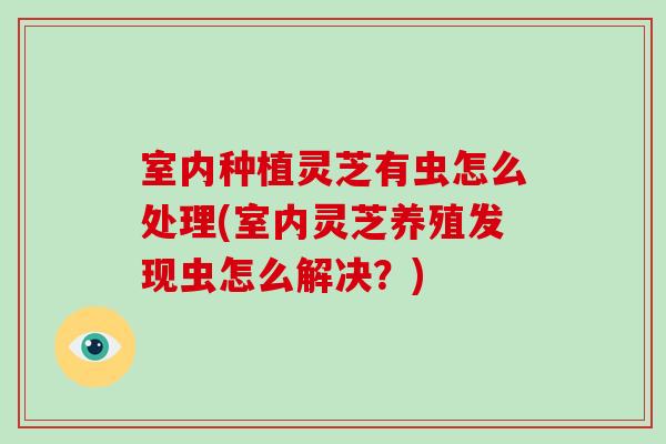 室内种植灵芝有虫怎么处理(室内灵芝养殖发现虫怎么解决？)