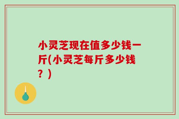 小灵芝现在值多少钱一斤(小灵芝每斤多少钱？)