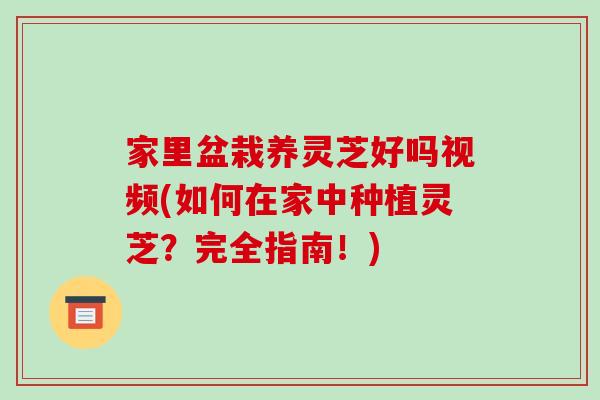 家里盆栽养灵芝好吗视频(如何在家中种植灵芝？完全指南！)