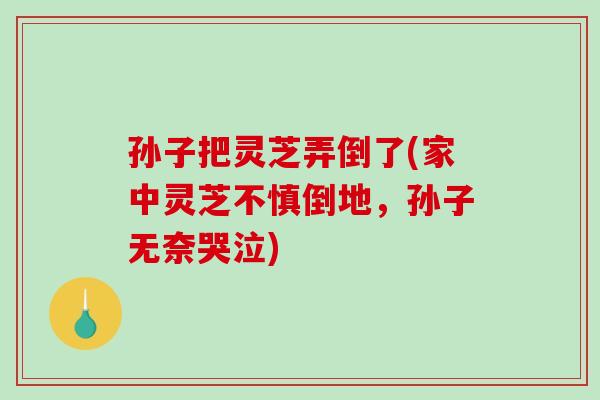 孙子把灵芝弄倒了(家中灵芝不慎倒地，孙子无奈哭泣)