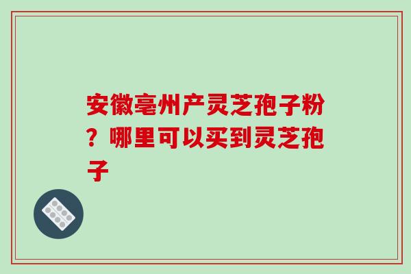 安徽亳州产灵芝孢子粉？哪里可以买到灵芝孢子