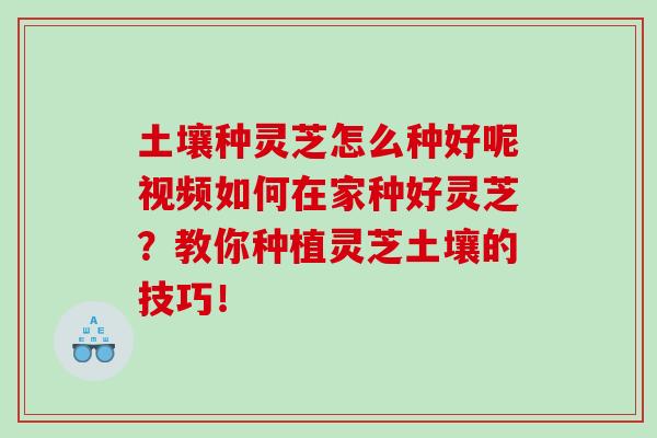 土壤种灵芝怎么种好呢视频如何在家种好灵芝？教你种植灵芝土壤的技巧！