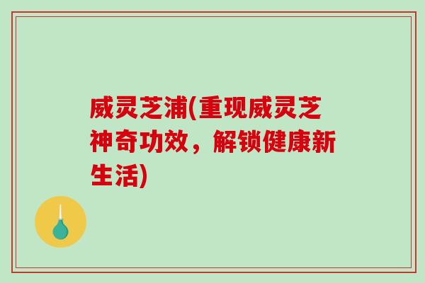 威灵芝浦(重现威灵芝神奇功效,解锁健康新生活) 威灵芝浦(重现威灵芝神奇功效,解锁健康新生活)