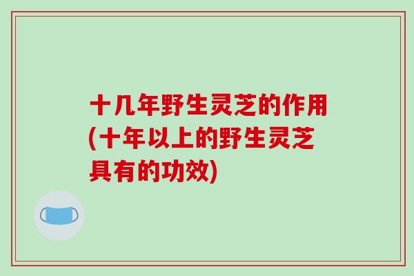 十几年野生灵芝的作用(十年以上的野生灵芝具有的功效)