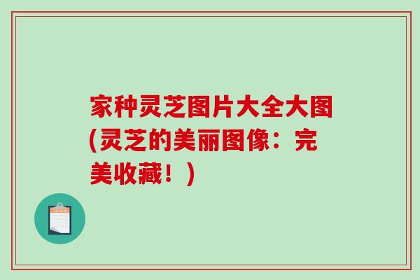 家种灵芝图片大全大图(灵芝的美丽图像：完美收藏！)