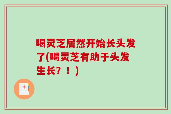 喝灵芝居然开始长头发了(喝灵芝有助于头发生长?!) 喝灵芝居然开始长头发了(喝灵芝有助于头发生长?!)