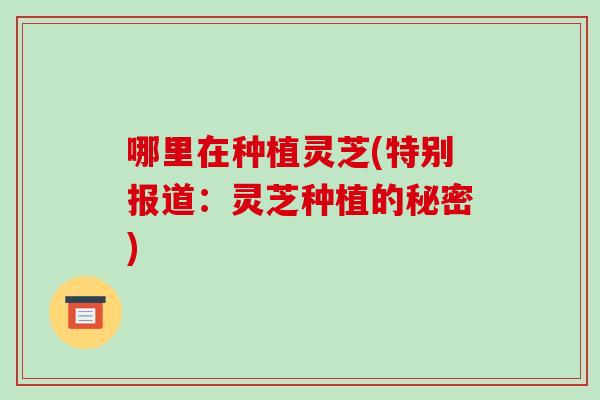 哪里在种植灵芝(特别报道：灵芝种植的秘密)