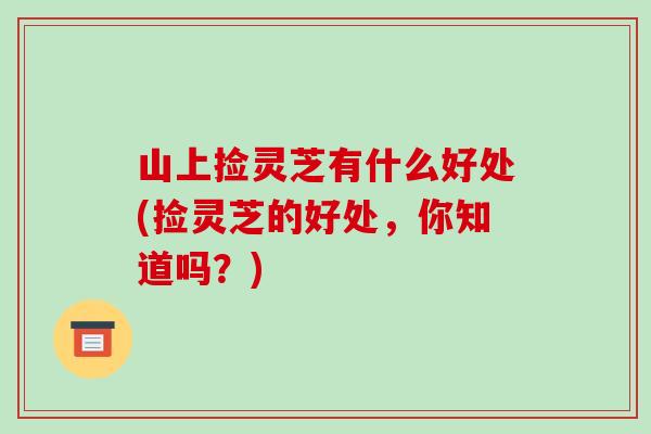 山上捡灵芝有什么好处(捡灵芝的好处，你知道吗？)