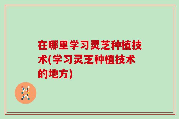在哪里学习灵芝种植技术(学习灵芝种植技术的地方)