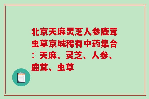 北京天麻灵芝人参鹿茸虫草京城稀有集合：天麻、灵芝、人参、鹿茸、虫草