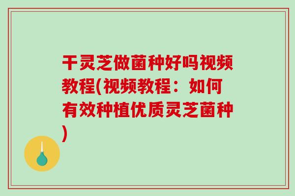 干灵芝做菌种好吗视频教程(视频教程:如何有效种植优质灵芝菌种) 干灵芝做菌种好吗视频教程(视频教程:如何有效种植优质灵芝菌种)