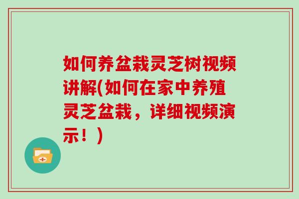 如何养盆栽灵芝树视频讲解(如何在家中养殖灵芝盆栽，详细视频演示！)