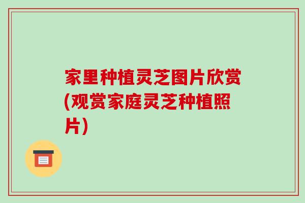 家里种植灵芝图片欣赏(观赏家庭灵芝种植照片)