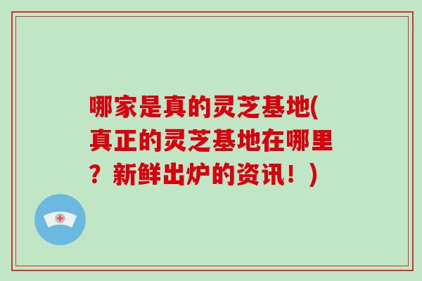 哪家是真的灵芝基地(真正的灵芝基地在哪里？新鲜出炉的资讯！)