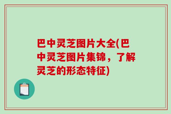 巴中灵芝图片大全(巴中灵芝图片集锦，了解灵芝的形态特征)
