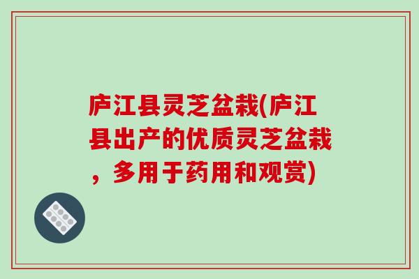 庐江县灵芝盆栽(庐江县出产的优质灵芝盆栽，多用于药用和观赏)