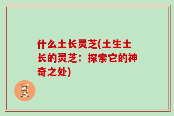 什么土长灵芝(土生土长的灵芝：探索它的神奇之处)