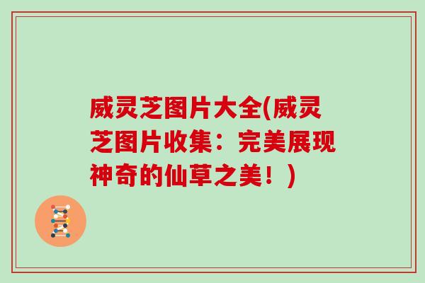威灵芝图片大全(威灵芝图片收集：完美展现神奇的仙草之美！)