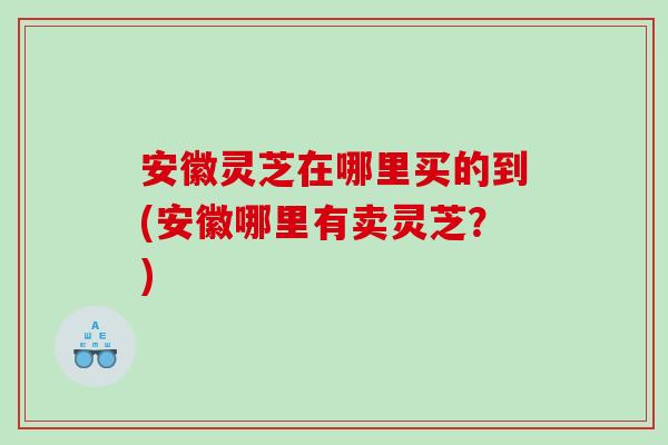 安徽灵芝在哪里买的到(安徽哪里有卖灵芝？)