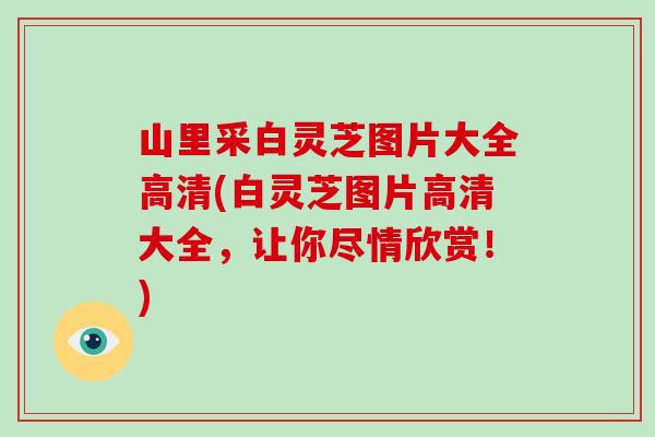 山里采白灵芝图片大全高清(白灵芝图片高清大全，让你尽情欣赏！)